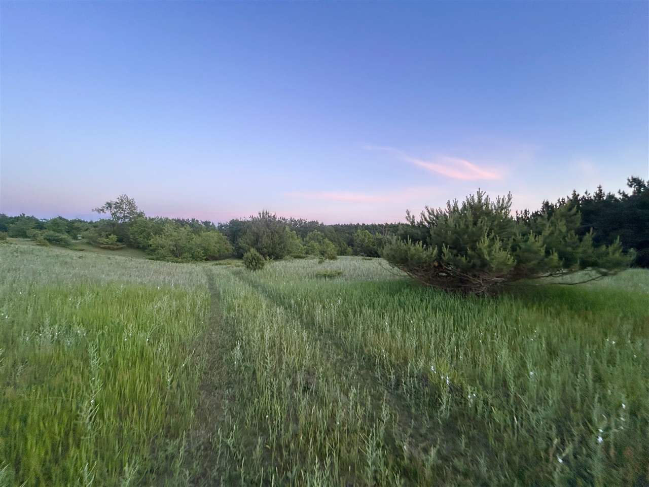 Tbd W Clute Road Boyne City MI 49712