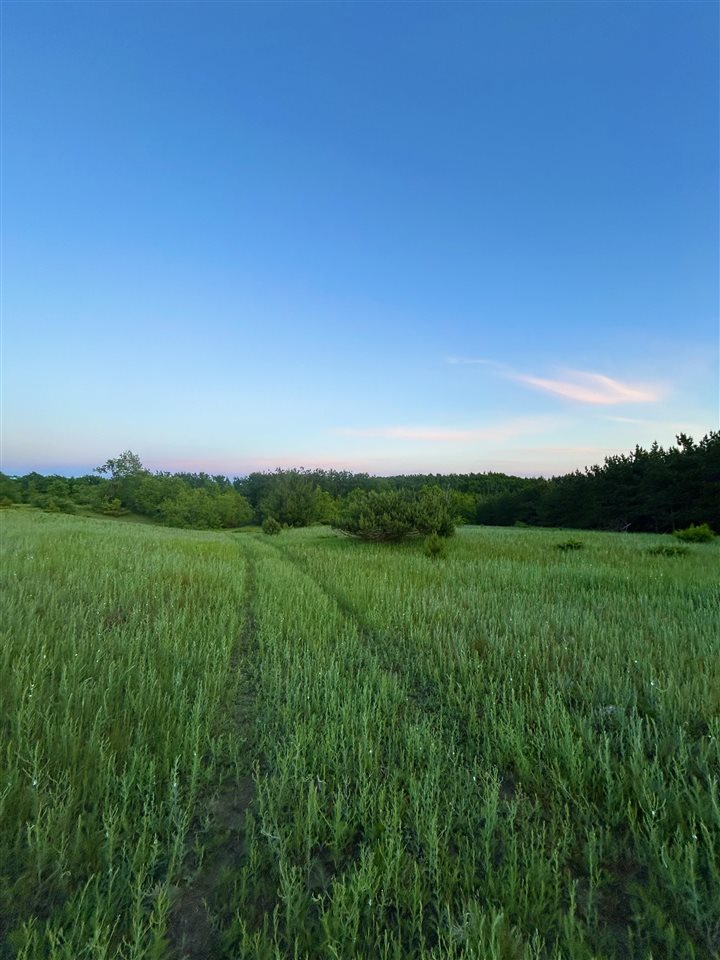 Tbd W Clute Road Boyne City MI 49712