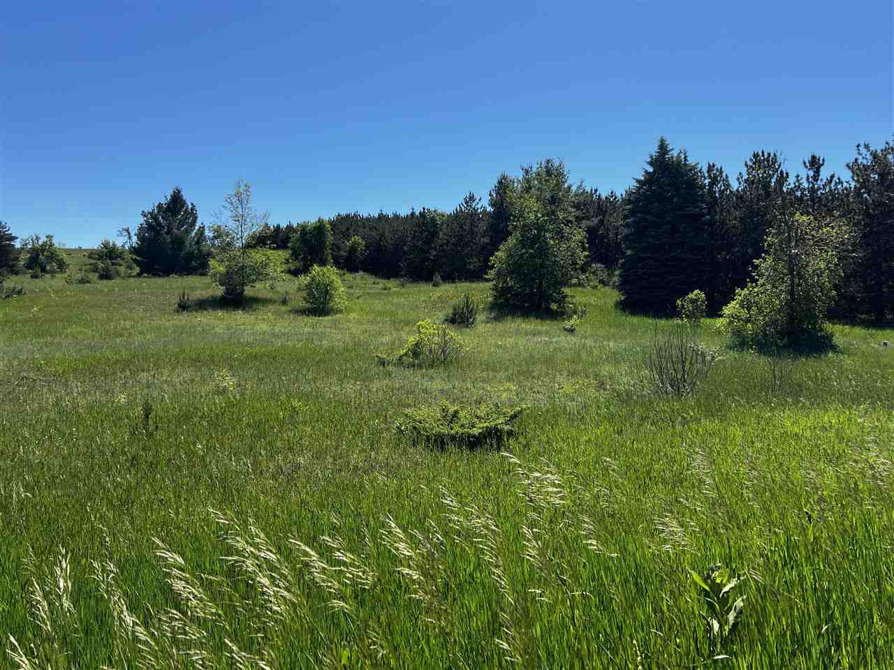 Tbd W Clute Road Boyne City MI 49712