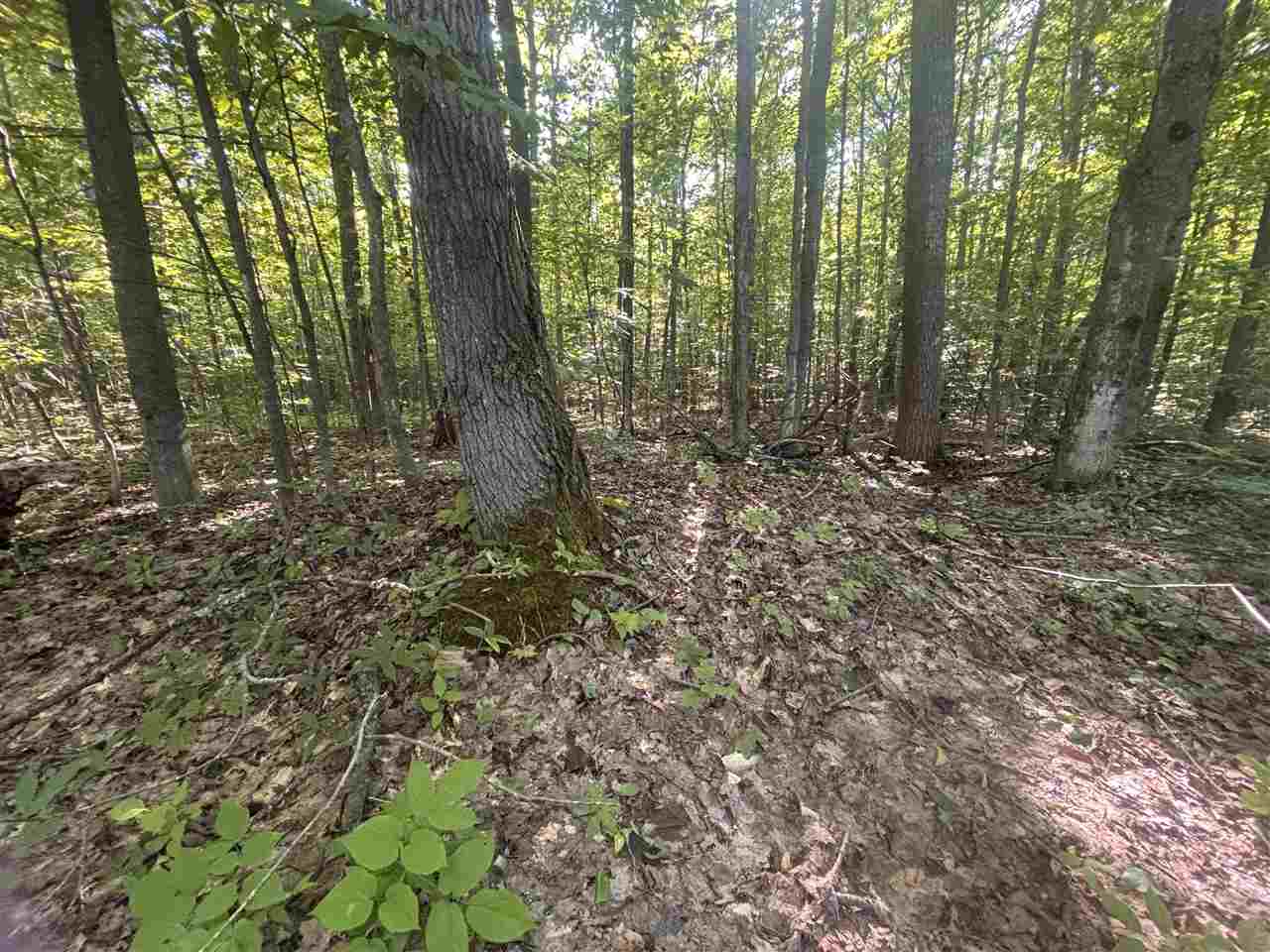 Tbd Zmikly Harbor Springs MI 49740