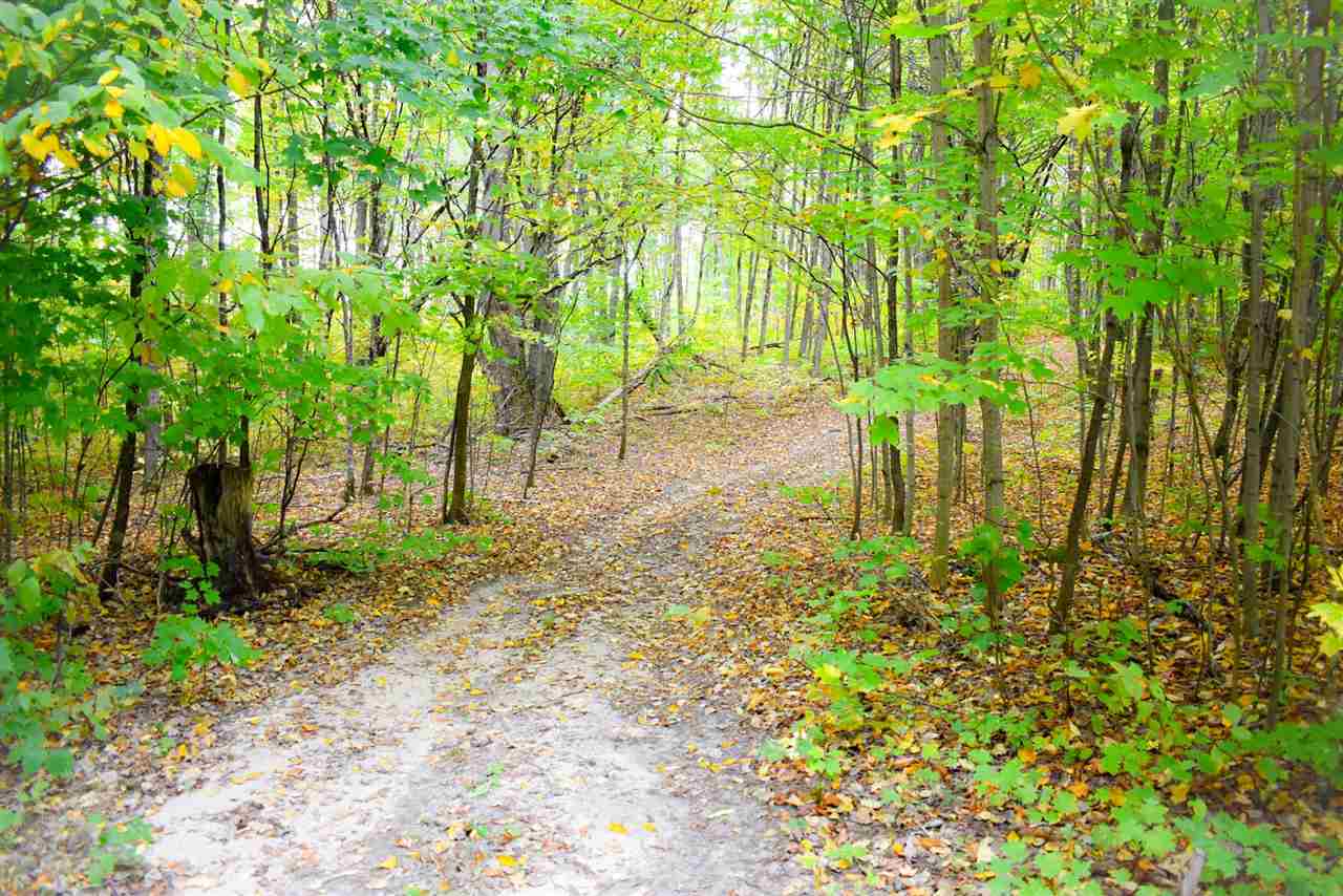 Tbd North Star Road Mancelona MI 49659