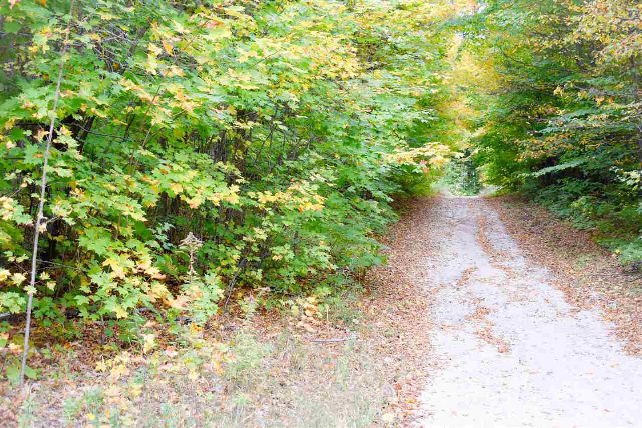 Tbd North Star Road Mancelona MI 49659
