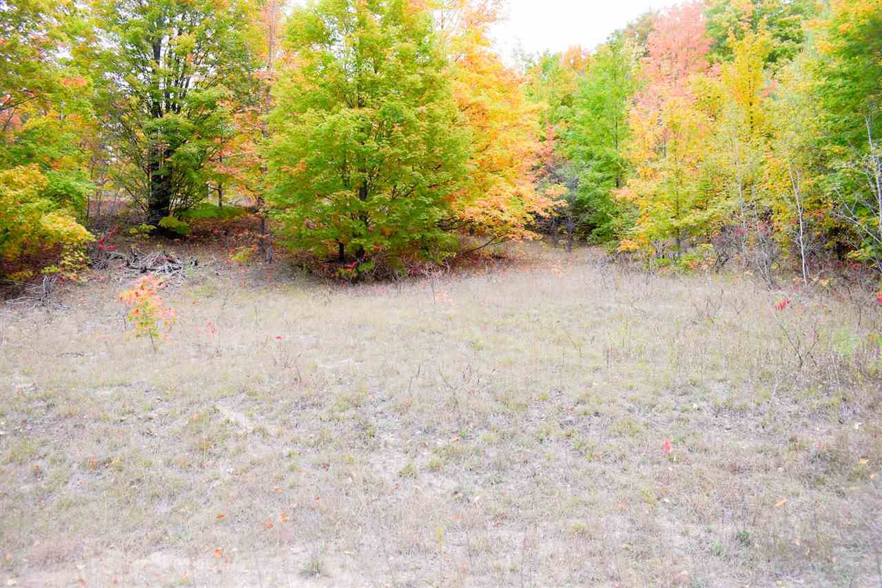 Tbd North Star Road Mancelona MI 49659