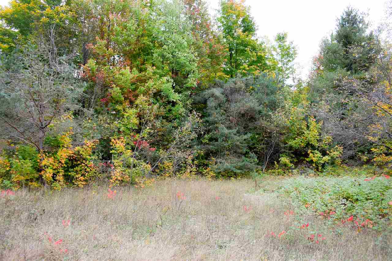Tbd North Star Road Mancelona MI 49659