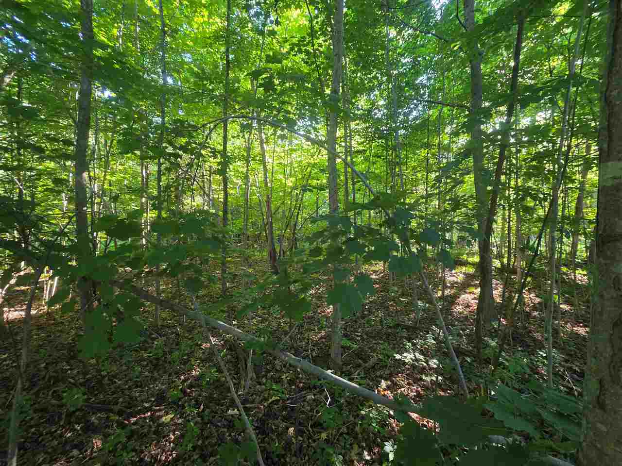 3776 Boyne City Road Boyne City MI 49712