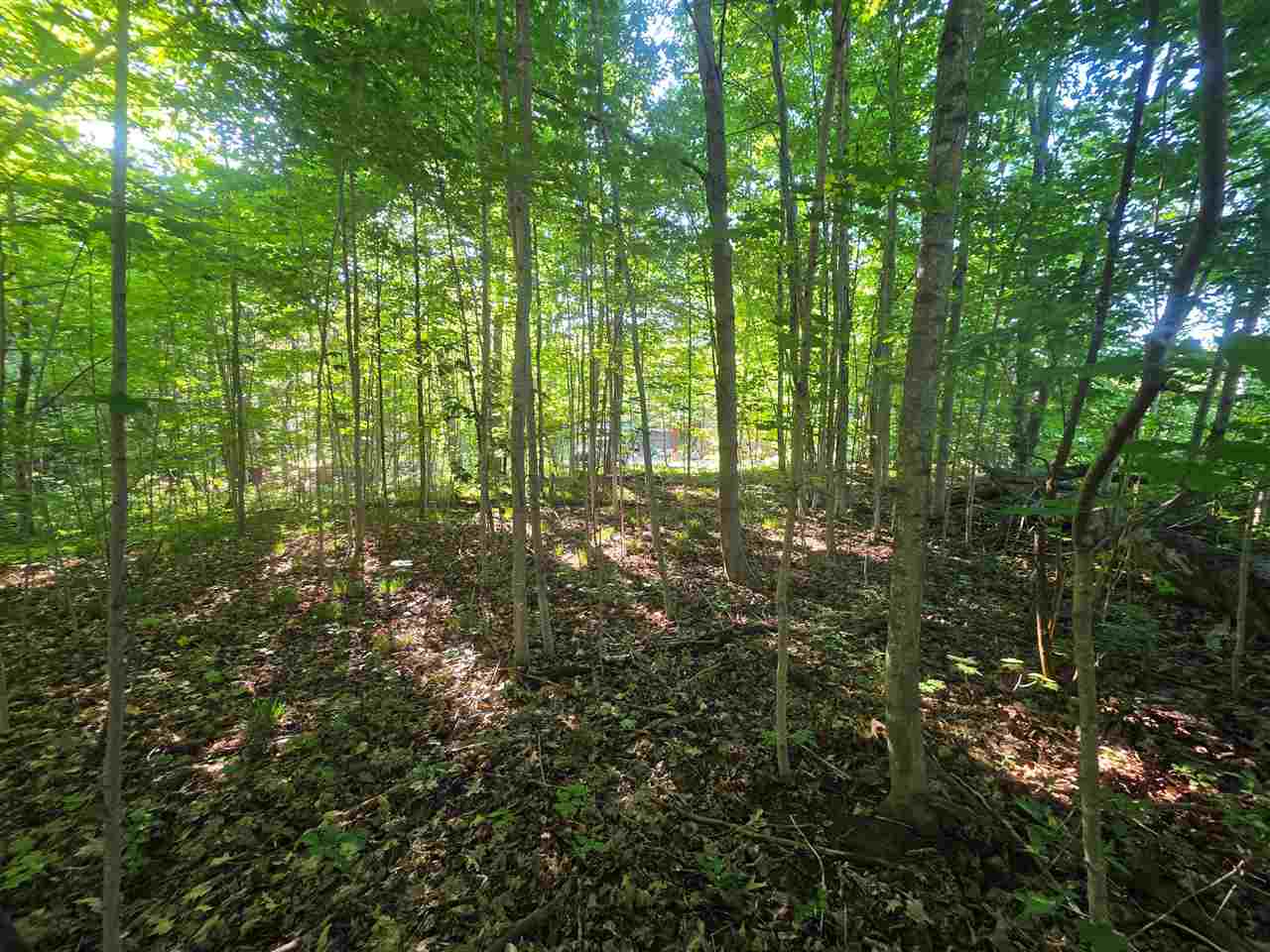 3776 Boyne City Road Boyne City MI 49712