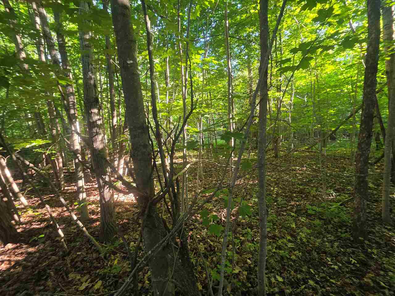 3776 Boyne City Road Boyne City MI 49712