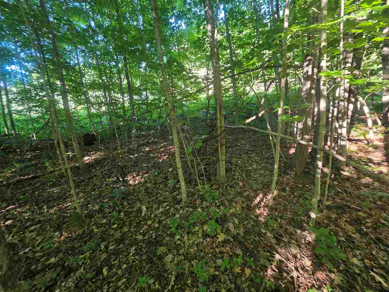 3776 Boyne City Road Boyne City MI 49712