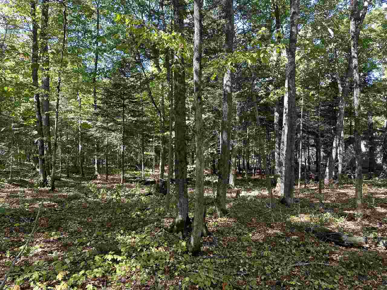 Tbd King's Highway Beaver Island MI 49782