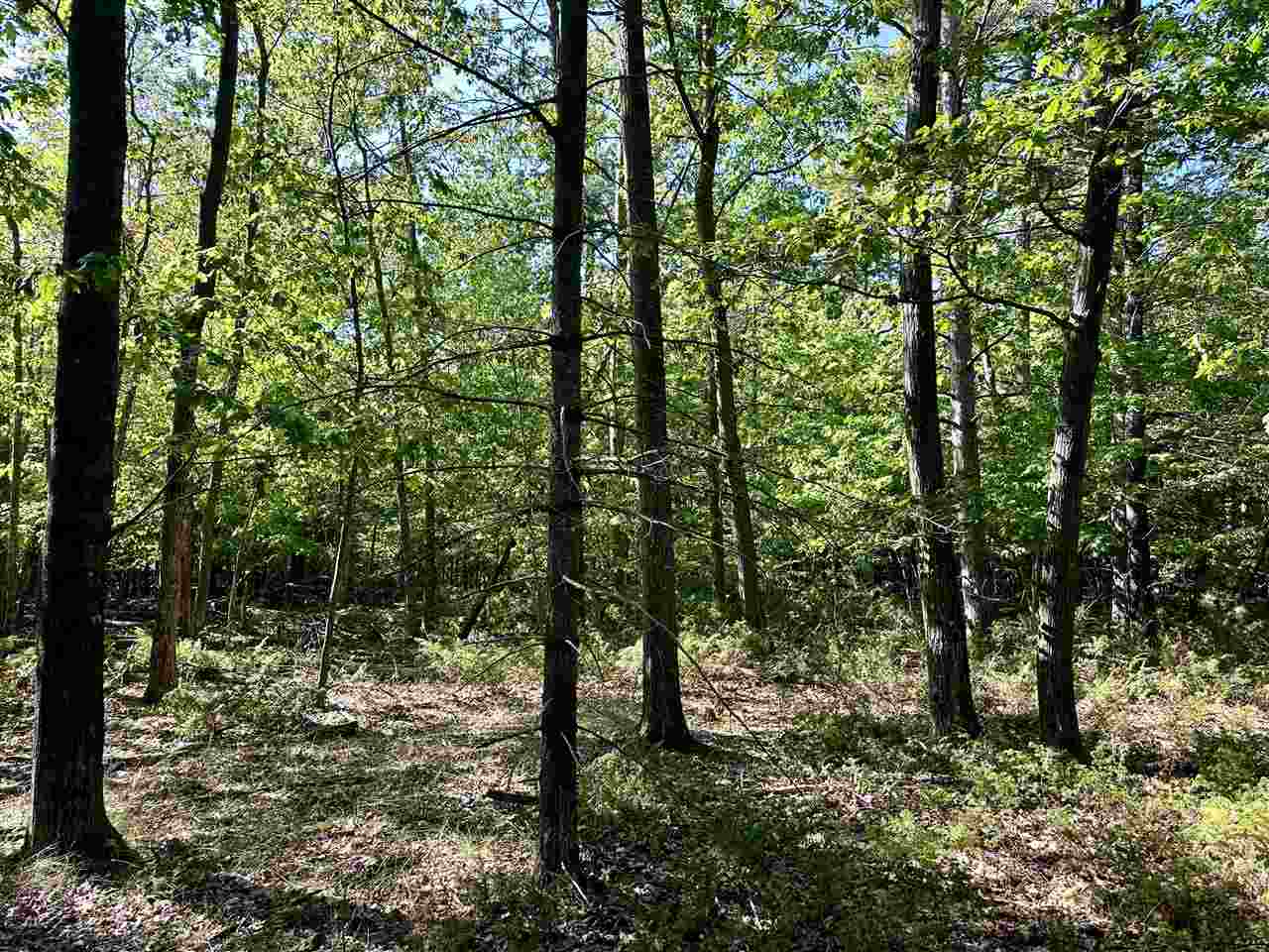 Tbd King's Highway Beaver Island MI 49782