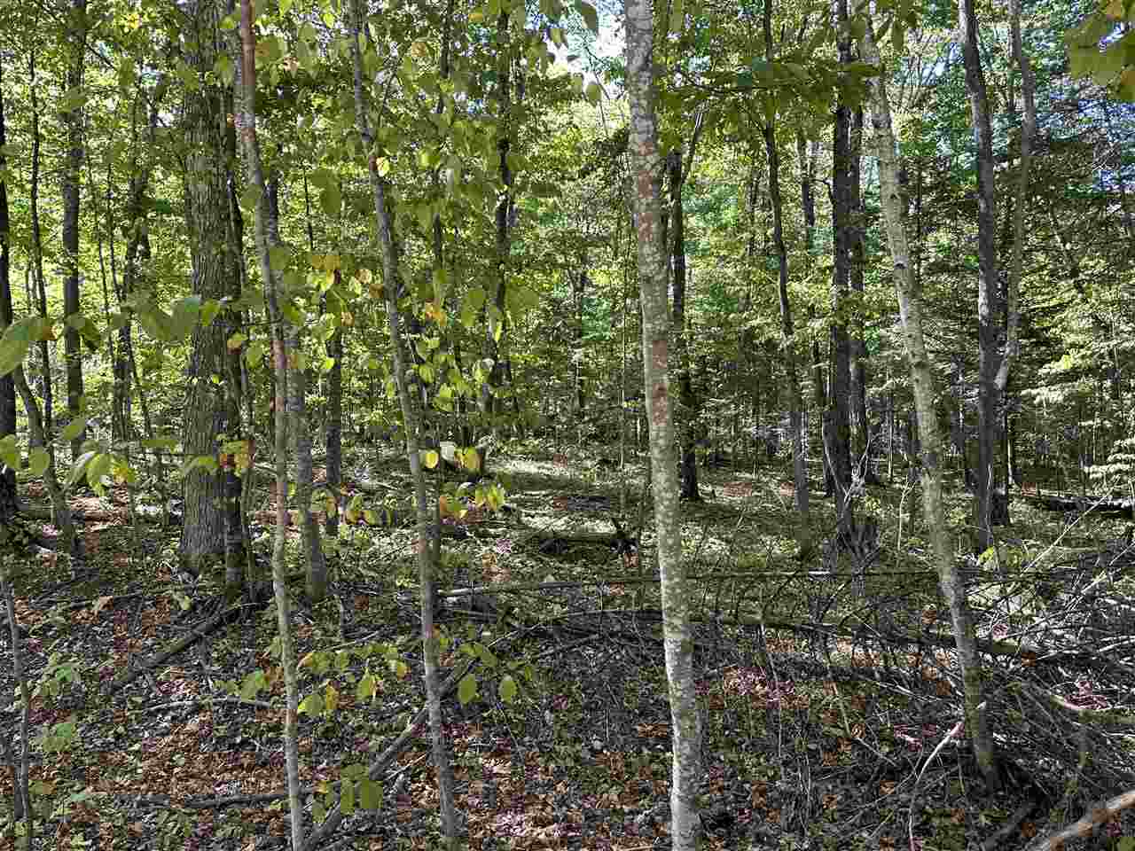Tbd King's Highway Beaver Island MI 49782