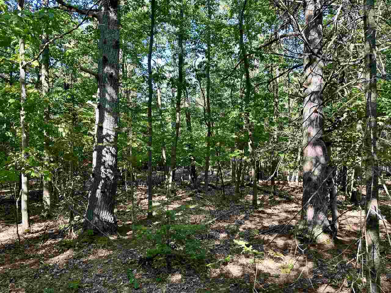 Tbd King's Highway Beaver Island MI 49782