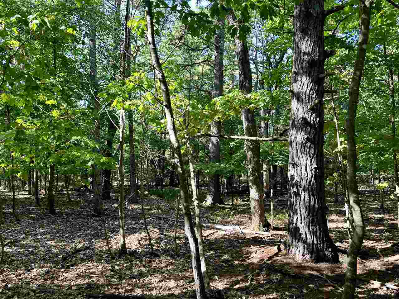 Tbd King's Highway Beaver Island MI 49782