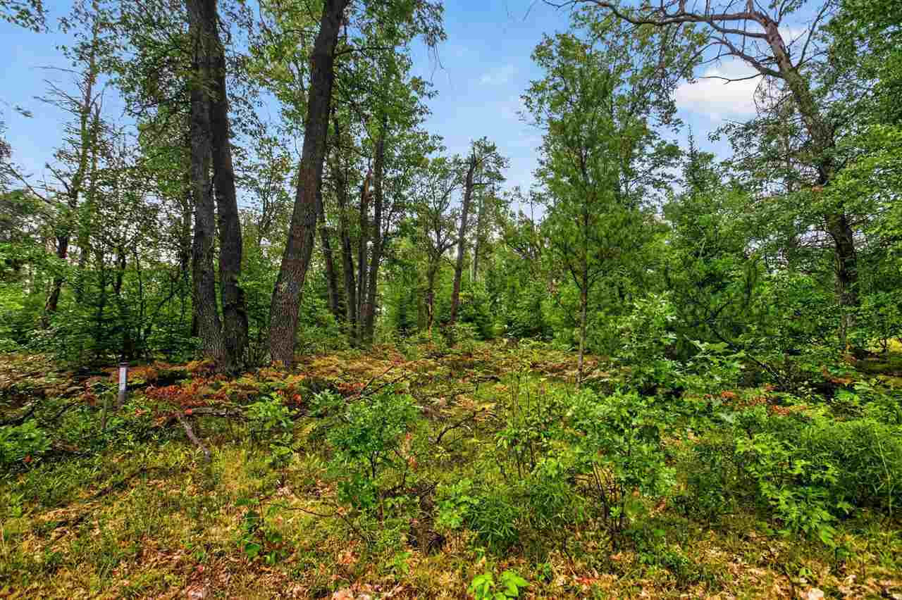 00 Valley Vista Lot 12 Drive Mio MI 48647