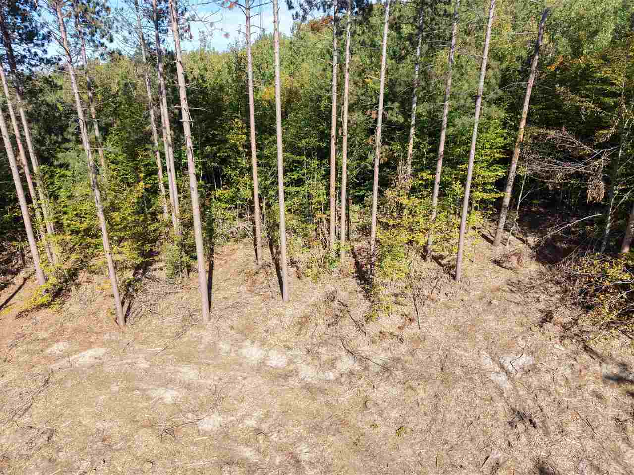 6201 Dutchman Bay Road East Jordan MI 49727