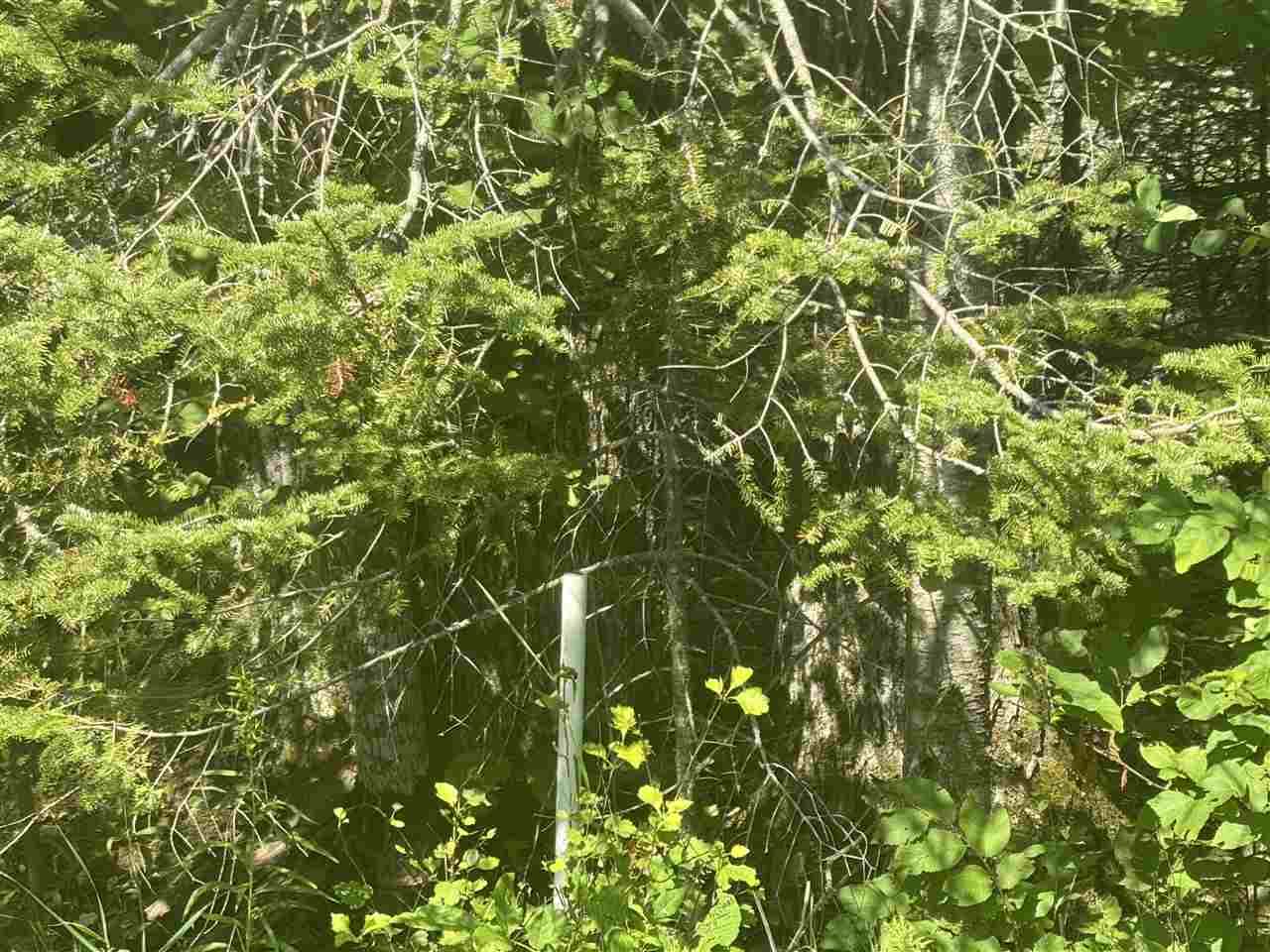 1520 Trails End Road Mackinaw City MI 49701