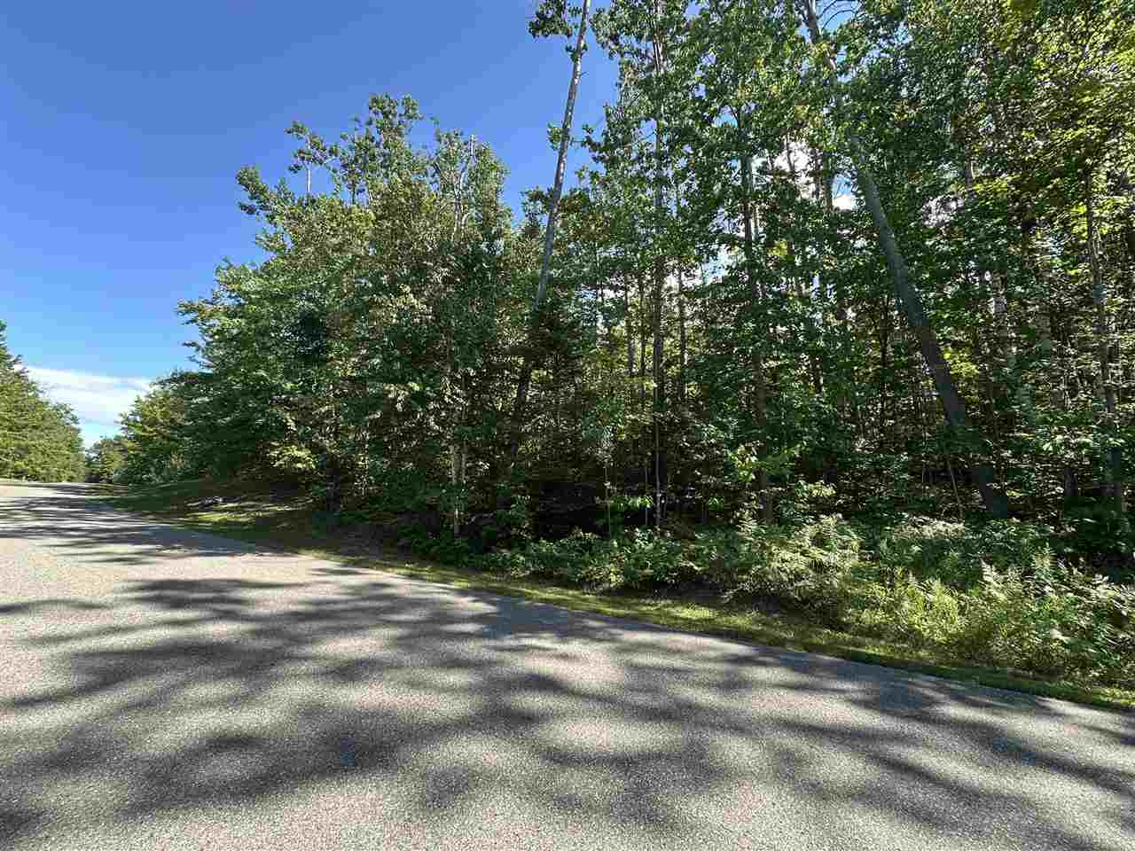 7049 S Preserve Drive Bay Harbor MI 49770
