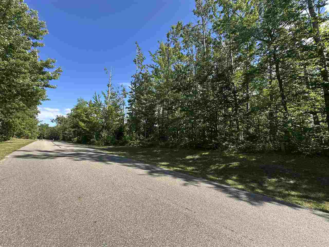 7049 S Preserve Drive Bay Harbor MI 49770