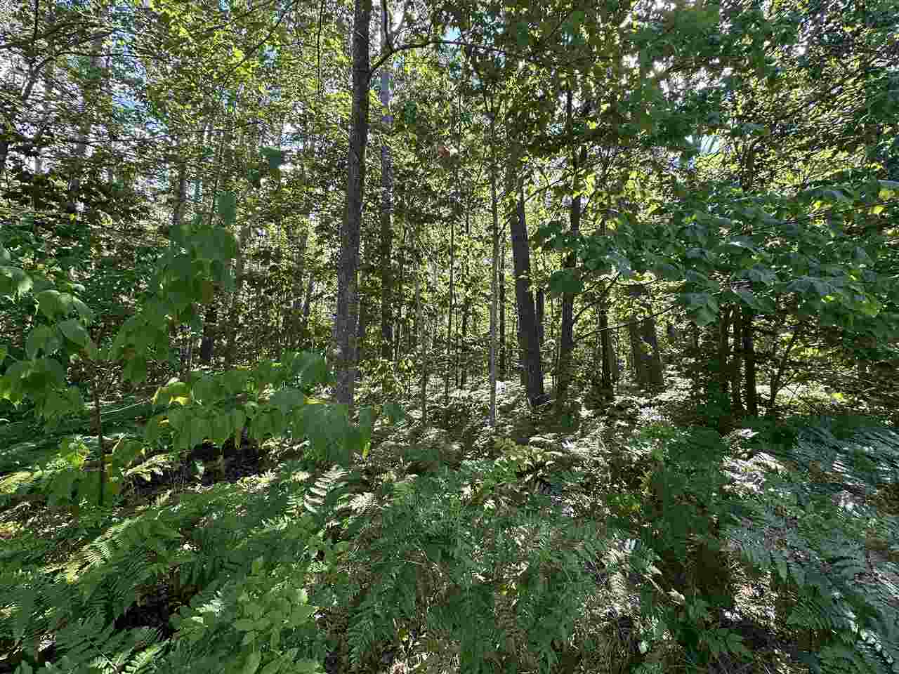 7049 S Preserve Drive Bay Harbor MI 49770