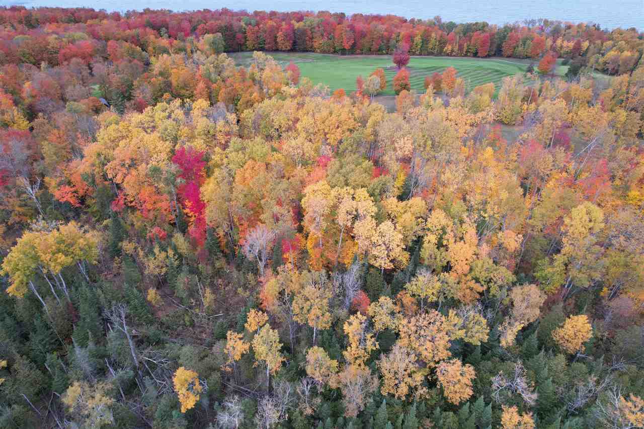 7049 S Preserve Drive Bay Harbor MI 49770
