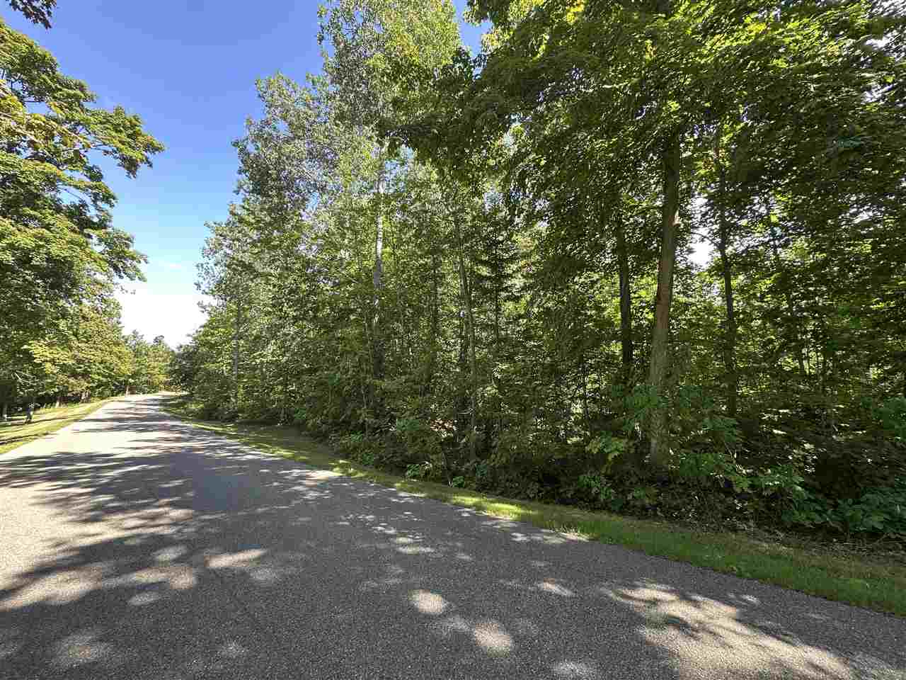 7049 S Preserve Drive Bay Harbor MI 49770