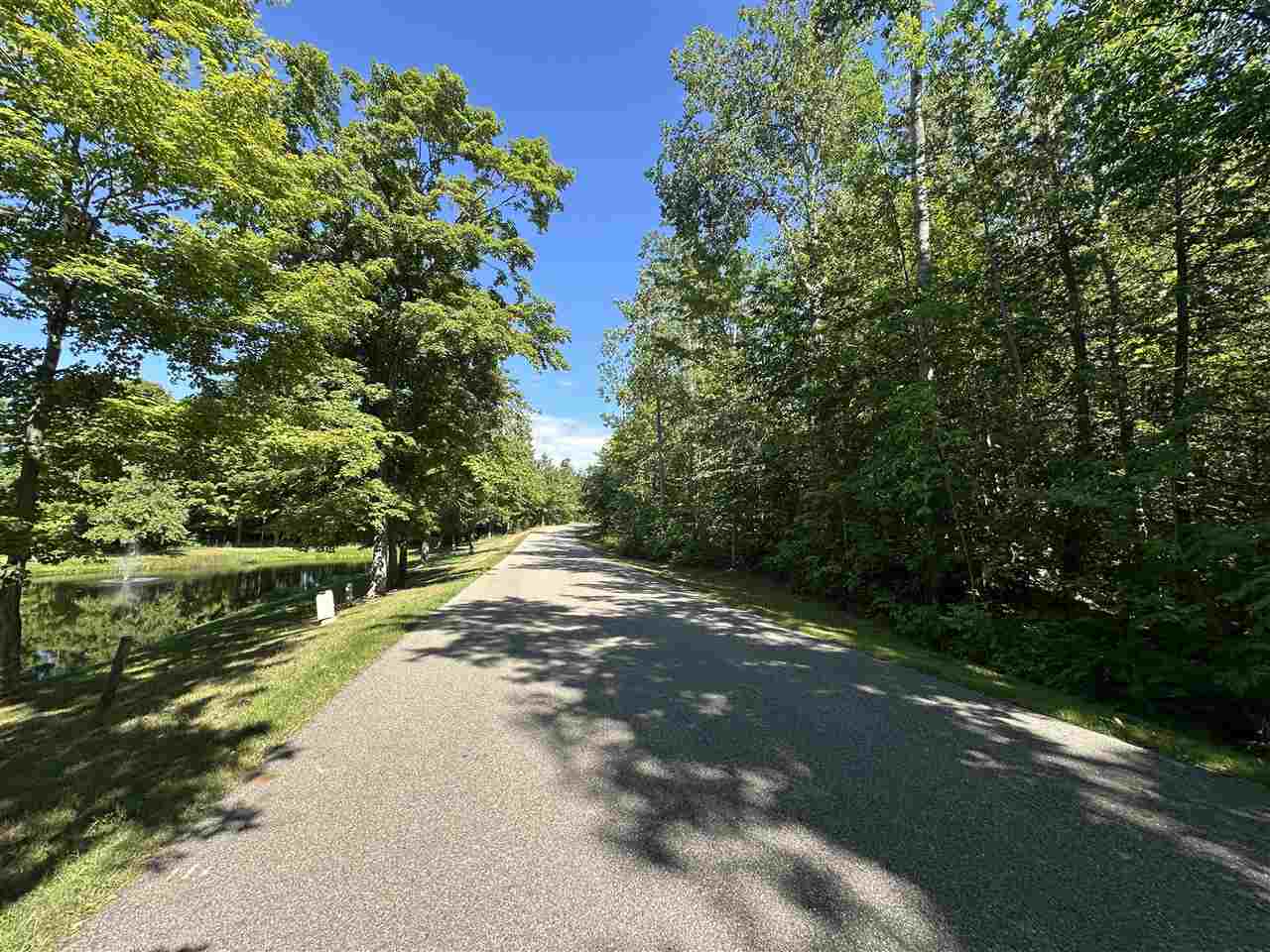 7049 S Preserve Drive Bay Harbor MI 49770