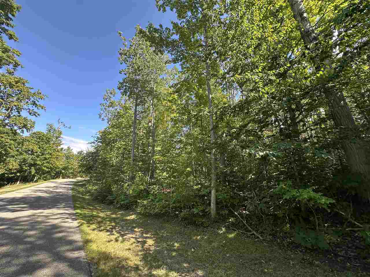 7049 S Preserve Drive Bay Harbor MI 49770