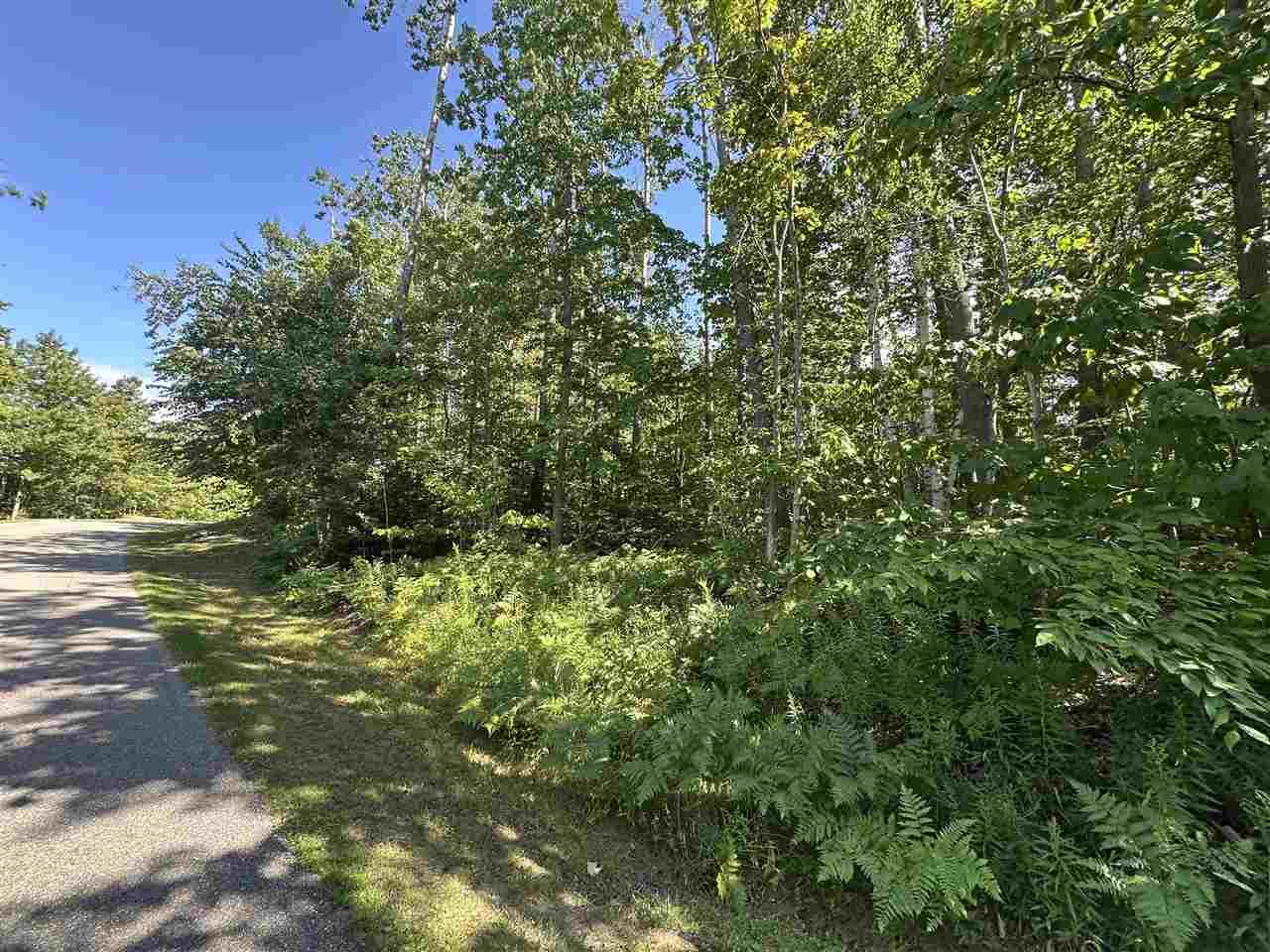 7049 S Preserve Drive Bay Harbor MI 49770