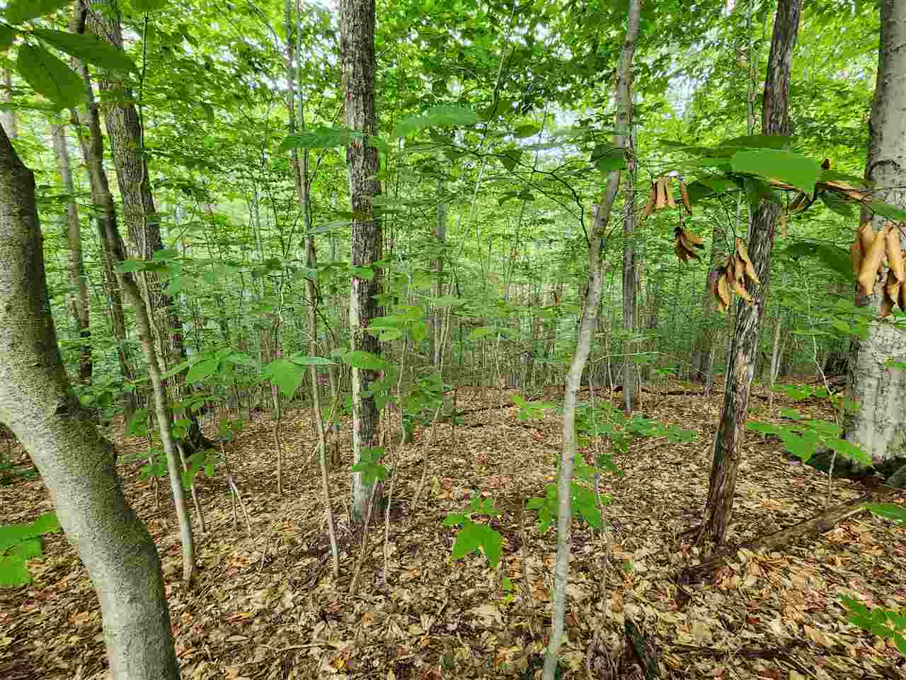 Tbd Ash Court Petoskey MI 49770