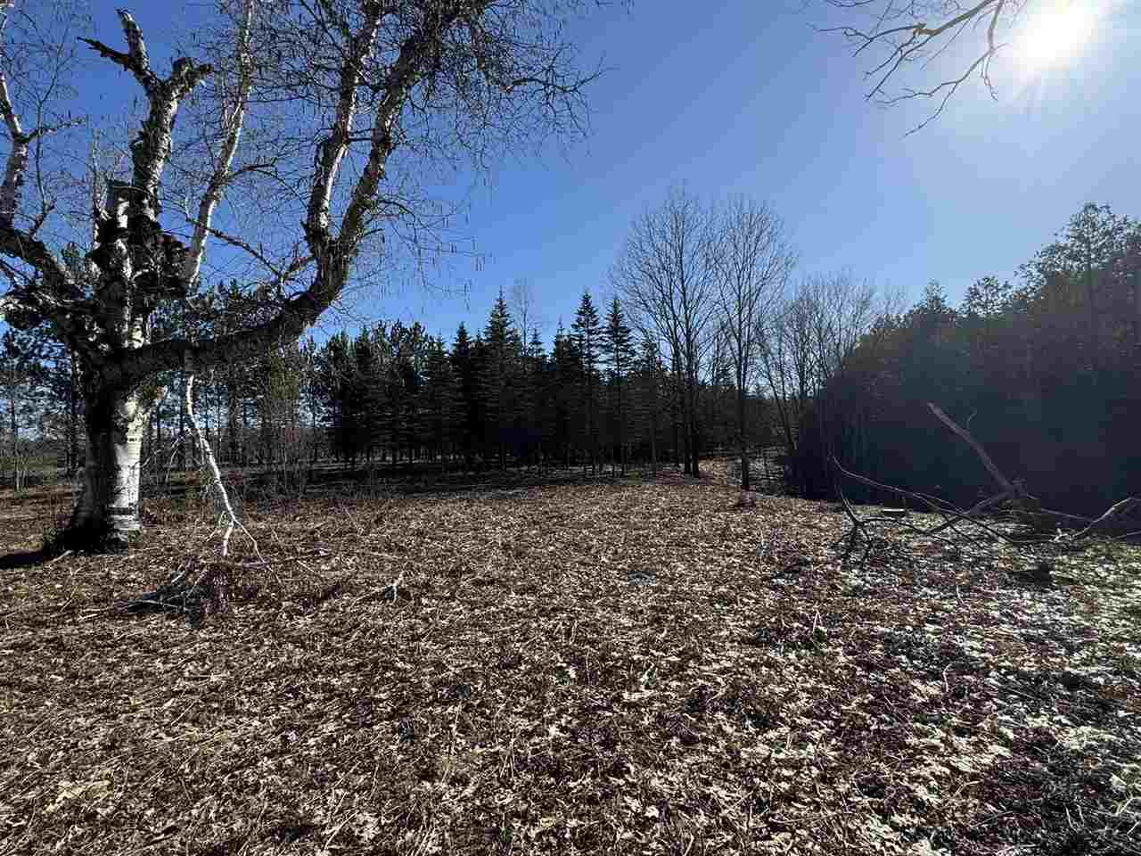 2526 Gregory Road Brutus MI 49716