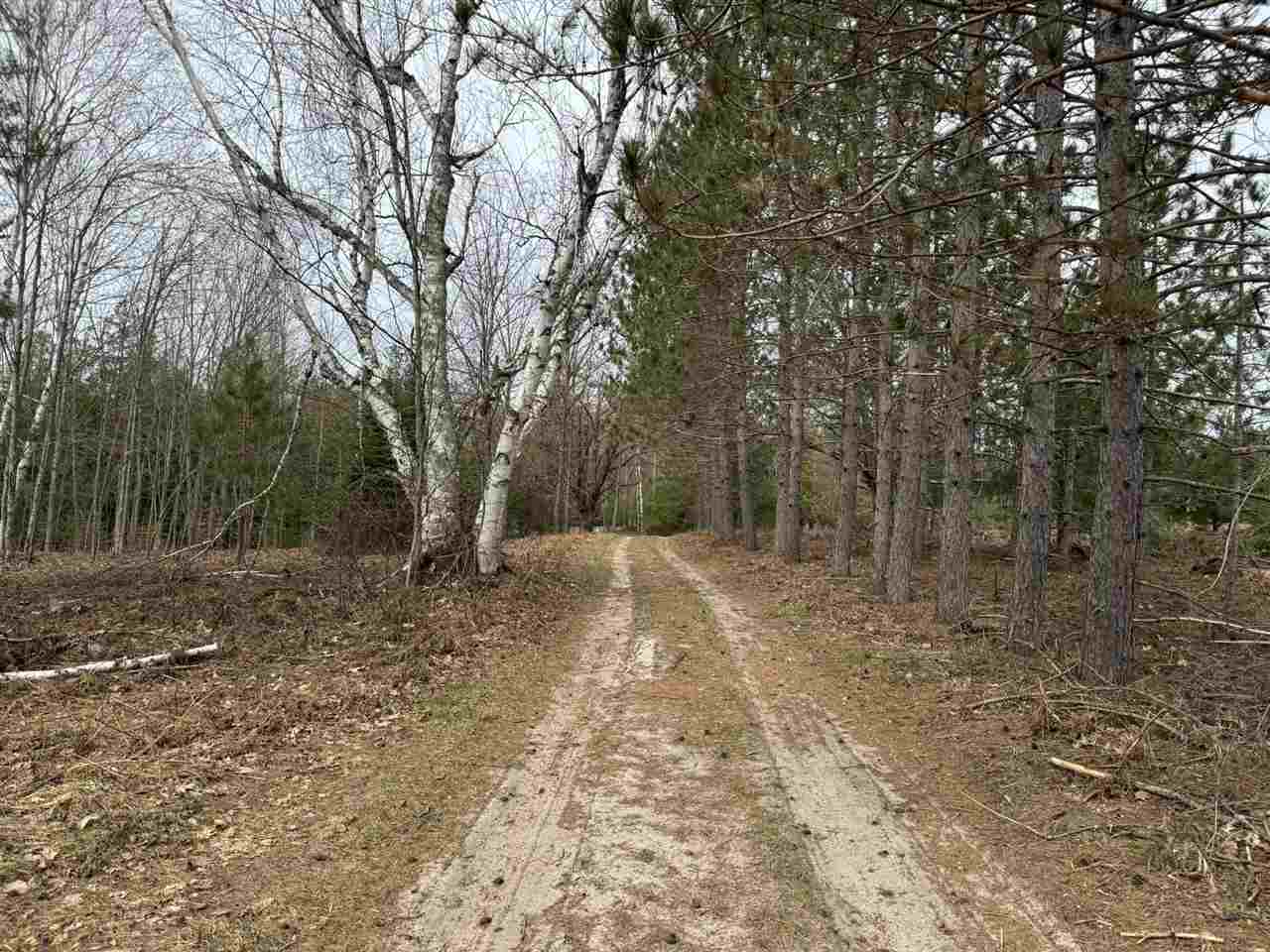 2526 Gregory Road Brutus MI 49716