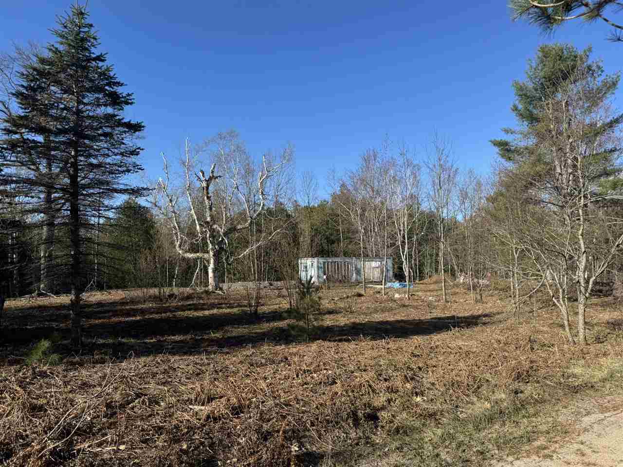2526 Gregory Road Brutus MI 49716