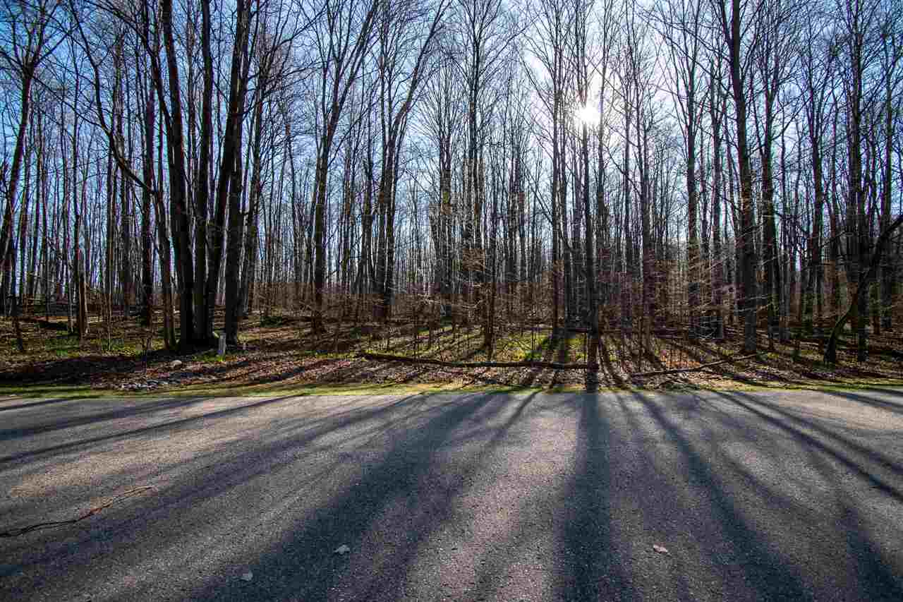 Tbd Klein Strasse Street Bellaire MI 49615