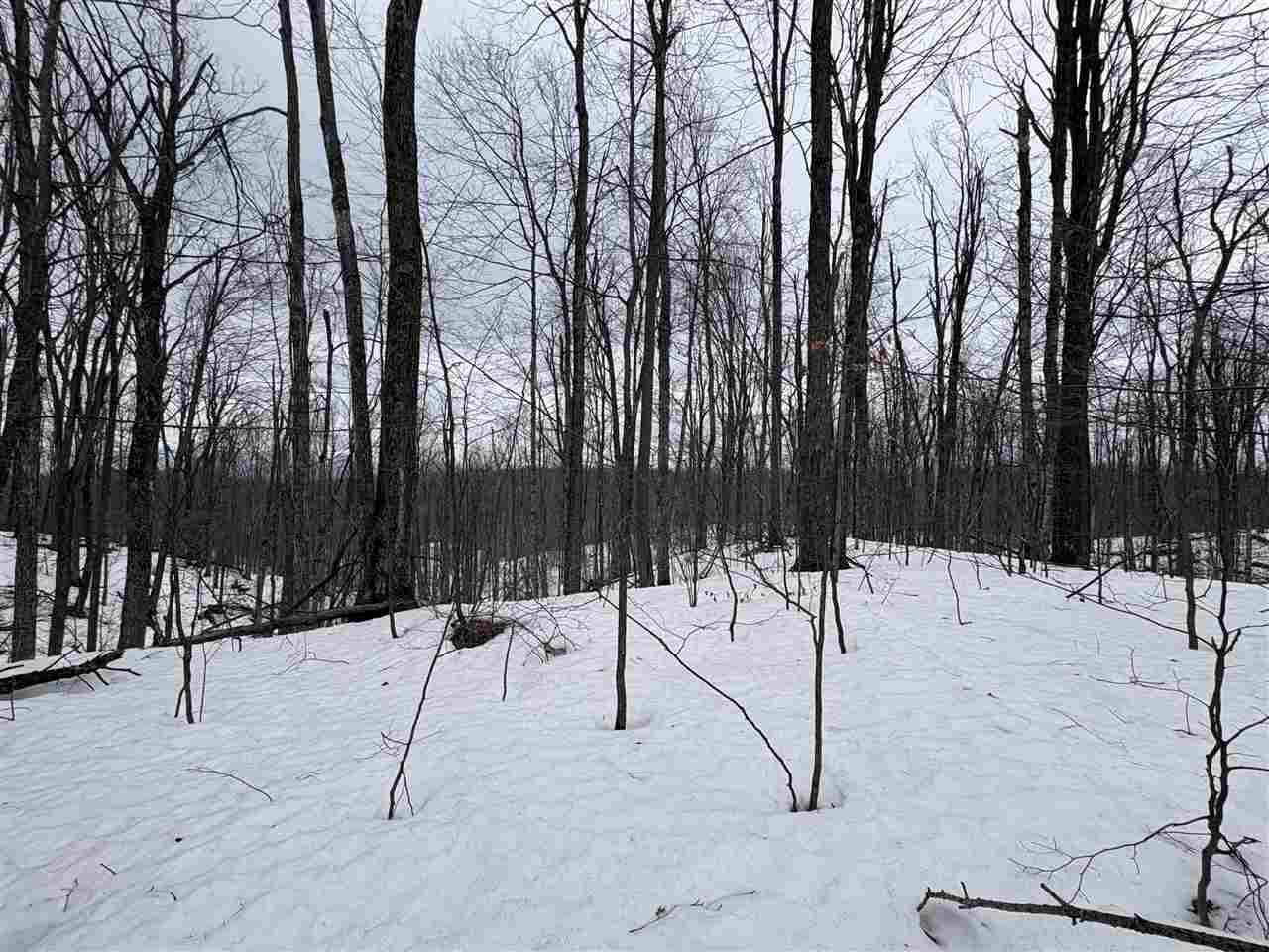 393 Beaux Rivages Drive Harbor Springs MI 49740