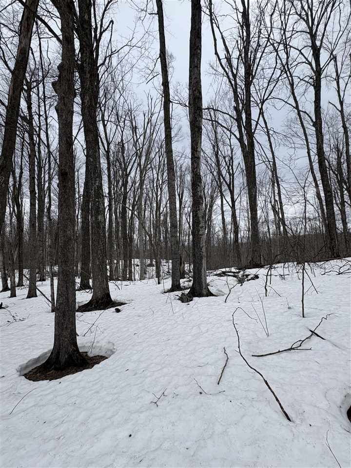 393 Beaux Rivages Drive Harbor Springs MI 49740