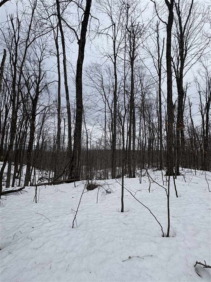 393 Beaux Rivages Drive Harbor Springs MI 49740