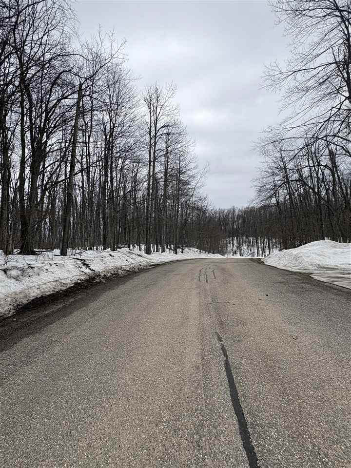 393 Beaux Rivages Drive Harbor Springs MI 49740