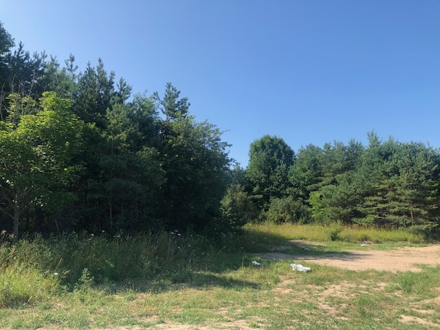 860 Red Oak Way Petoskey MI 49770