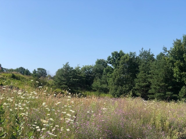 860 Red Oak Way Petoskey MI 49770