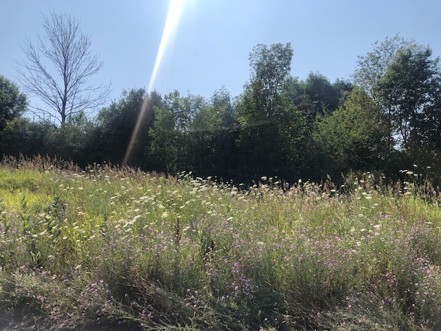 860 Red Oak Way Petoskey MI 49770