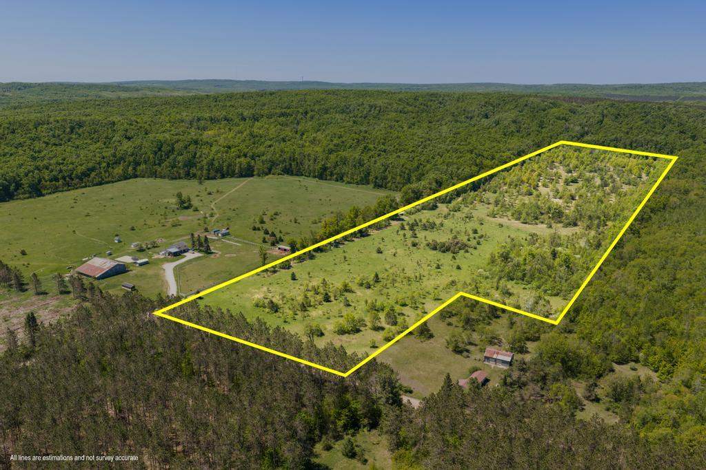 2244 Palmer Road Pellston MI 49769