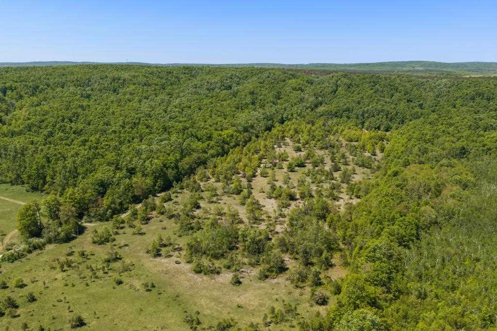 2244 Palmer Road Pellston MI 49769