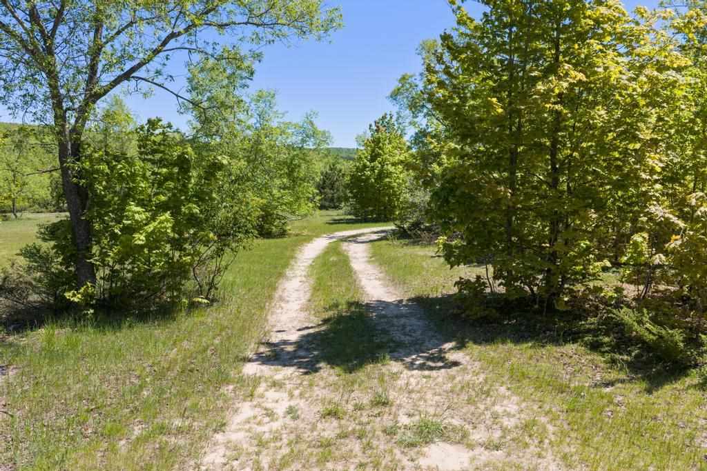 2244 Palmer Road Pellston MI 49769
