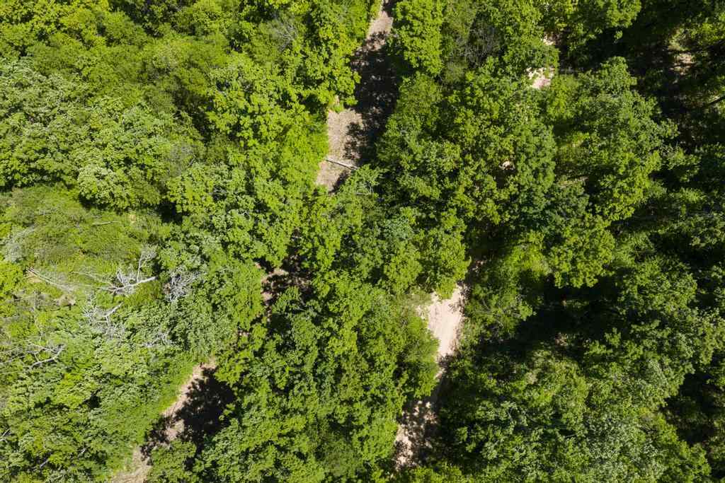 2244 Palmer Road Pellston MI 49769