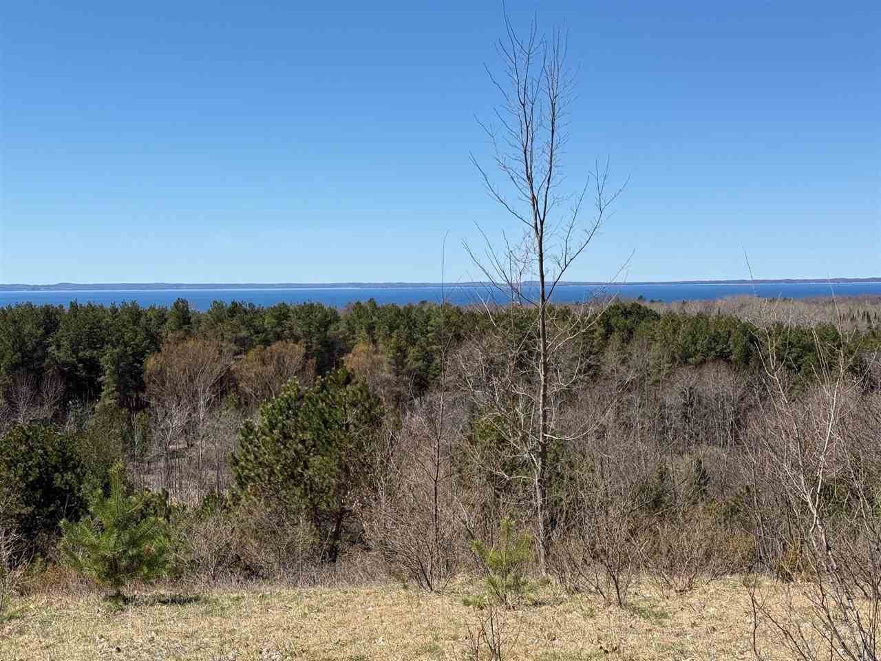 #2 Fox Missiion Trail Eastport MI 49622