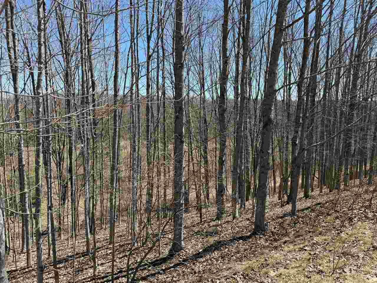 #2 Fox Missiion Trail Eastport MI 49622