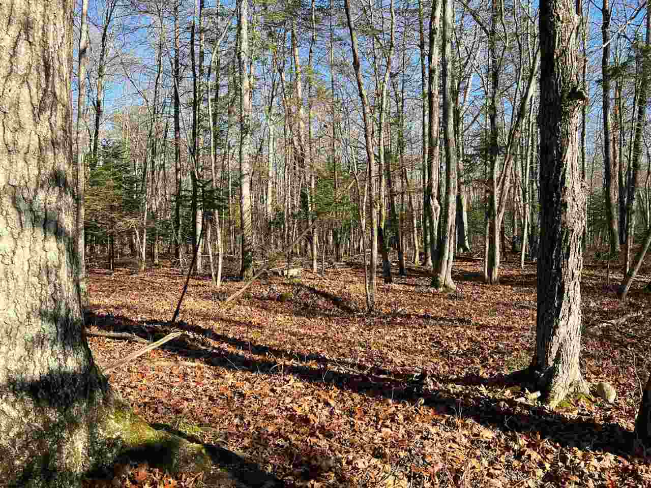 Tbd Greene's Bay Drive Parcel 17a Beaver Island MI 49782