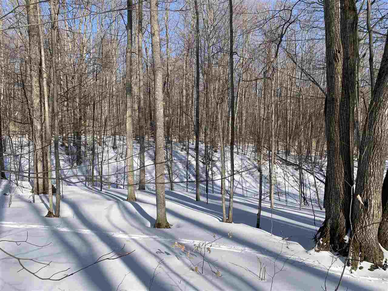 1412 Andover Club Drive Harbor Springs MI 49740