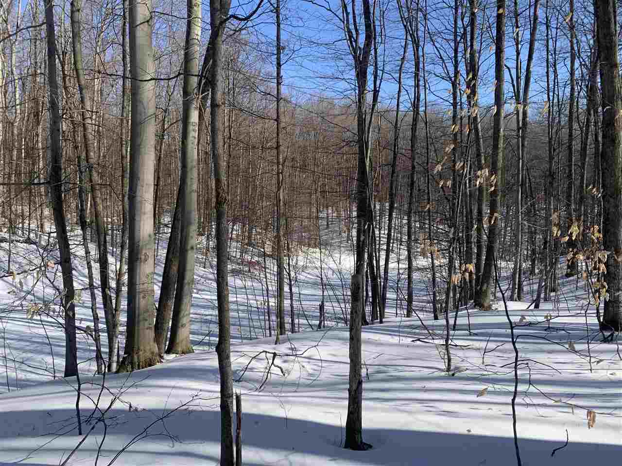 1412 Andover Club Drive Harbor Springs MI 49740