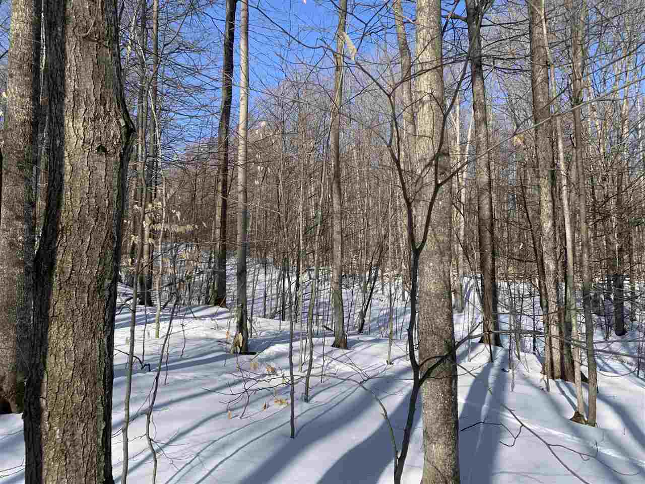 1412 Andover Club Drive Harbor Springs MI 49740